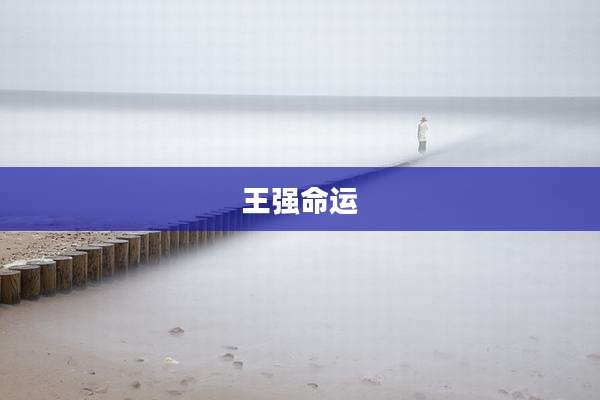 王强命运