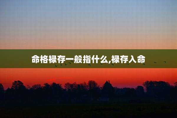 命格禄存一般指什么,禄存入命