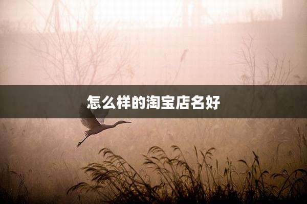 怎么样的淘宝店名好
