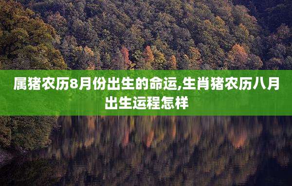 属猪农历8月份出生的命运,生肖猪农历八月出生运程怎样