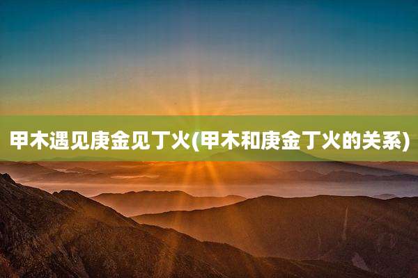 甲木遇见庚金见丁火(甲木和庚金丁火的关系)
