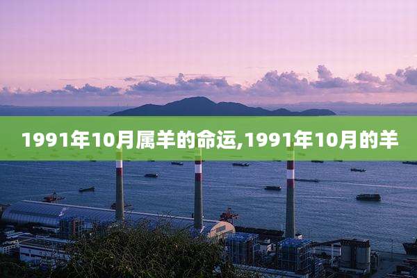 1991年10月属羊的命运,1991年10月的羊
