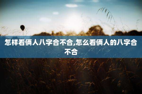 怎样看俩人八字合不合,怎么看俩人的八字合不合