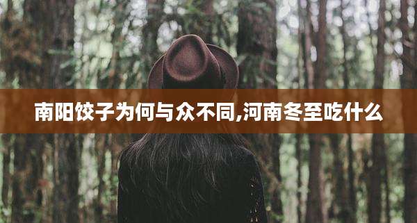 南阳饺子为何与众不同,河南冬至吃什么