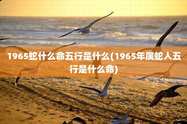 1965蛇什么命五行是什么(1965年属蛇人五行是什么命)