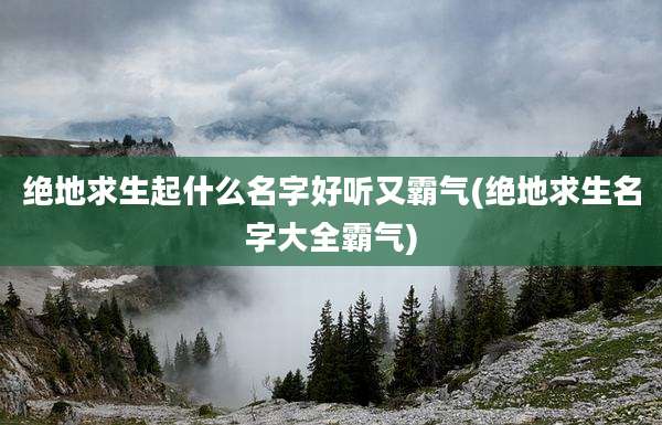 绝地求生起什么名字好听又霸气(绝地求生名字大全霸气)