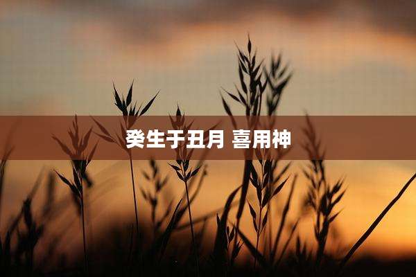 癸生于丑月 喜用神