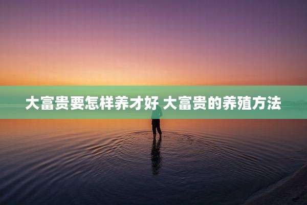 大富贵要怎样养才好 大富贵的养殖方法