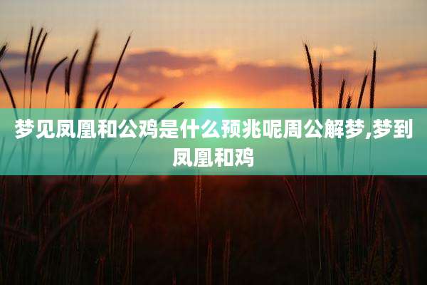 梦见凤凰和公鸡是什么预兆呢周公解梦,梦到凤凰和鸡