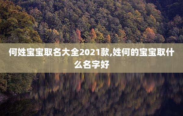 何姓宝宝取名大全2021款,姓何的宝宝取什么名字好
