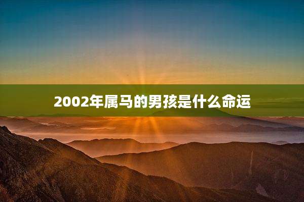 2002年属马的男孩是什么命运