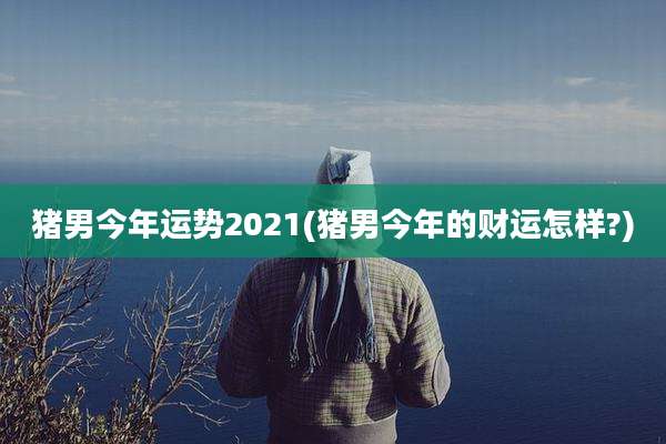 猪男今年运势2021(猪男今年的财运怎样?)