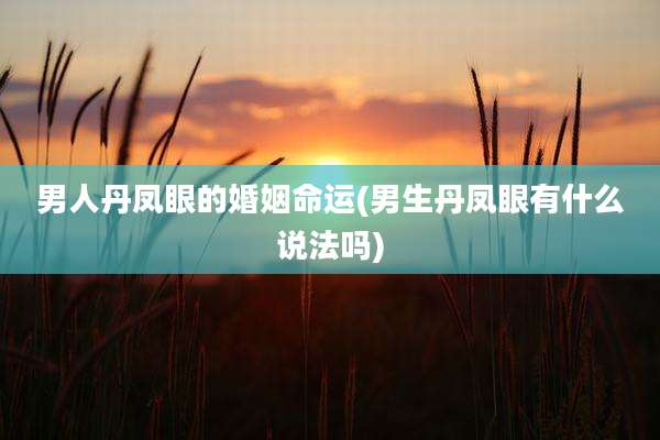 男人丹凤眼的婚姻命运(男生丹凤眼有什么说法吗)