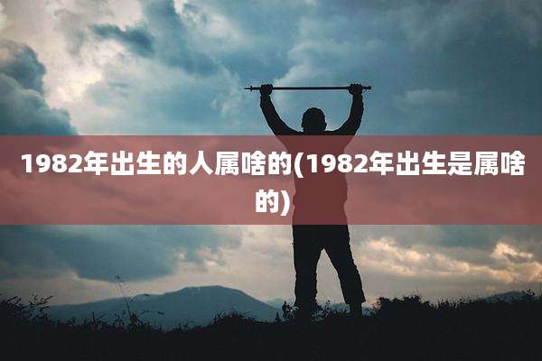 1982年出生的人属啥的(1982年出生是属啥的)