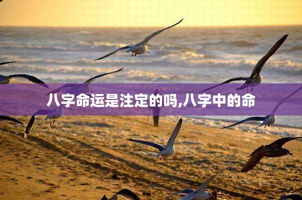 八字命运是注定的吗,八字中的命