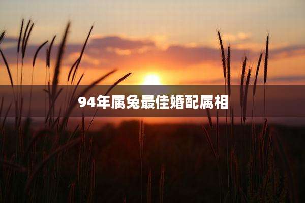94年属兔最佳婚配属相