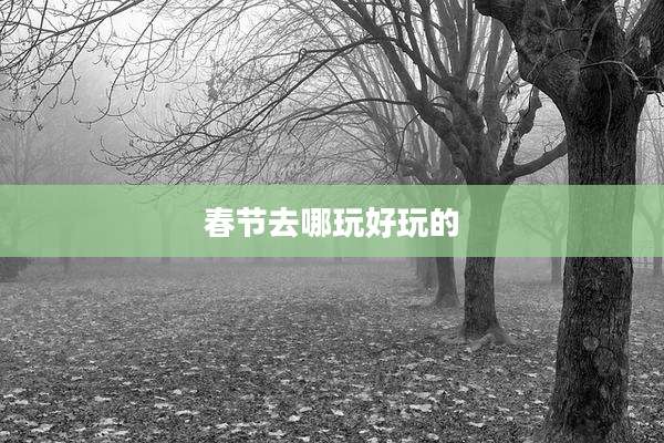 春节去哪玩好玩的