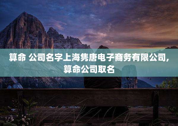 算命 公司名字上海隽唐电子商务有限公司,算命公司取名