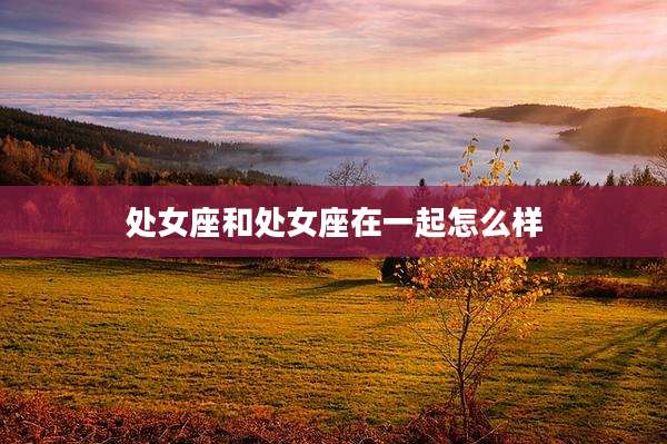 处女座和处女座在一起怎么样