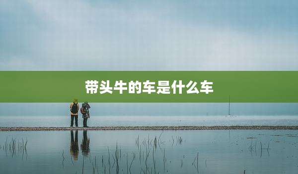 带头牛的车是什么车