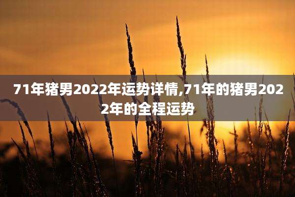 71年猪男2022年运势详情,71年的猪男2022年的全程运势