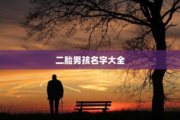 二胎男孩名字大全