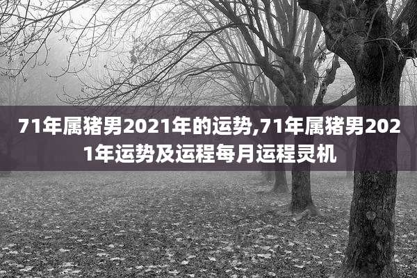 71年属猪男2021年的运势,71年属猪男2021年运势及运程每月运程灵机