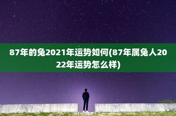 87年的兔2021年运势如何(87年属兔人2022年运势怎么样)