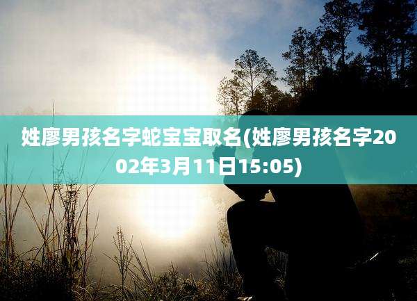 姓廖男孩名字蛇宝宝取名(姓廖男孩名字2002年3月11日15:05)