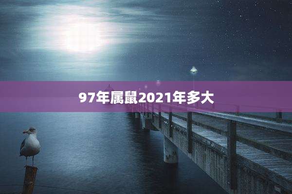 97年属鼠2021年多大