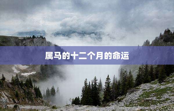 属马的十二个月的命运