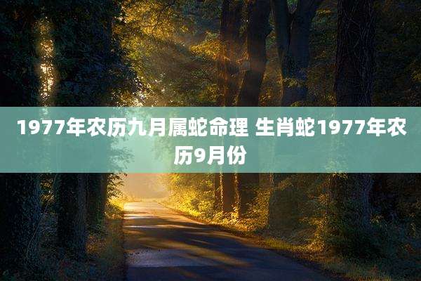 1977年农历九月属蛇命理 生肖蛇1977年农历9月份