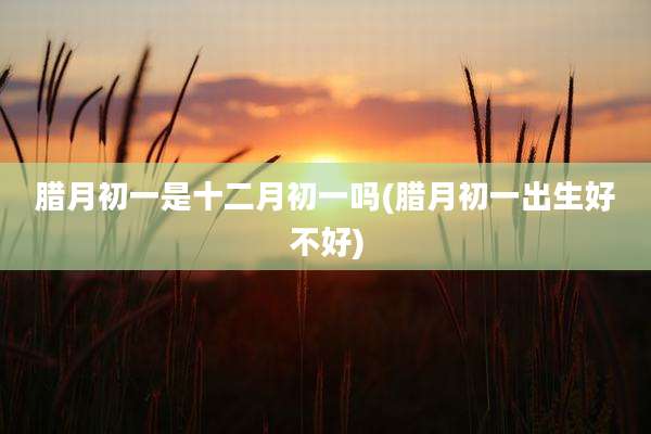 腊月初一是十二月初一吗(腊月初一出生好不好)