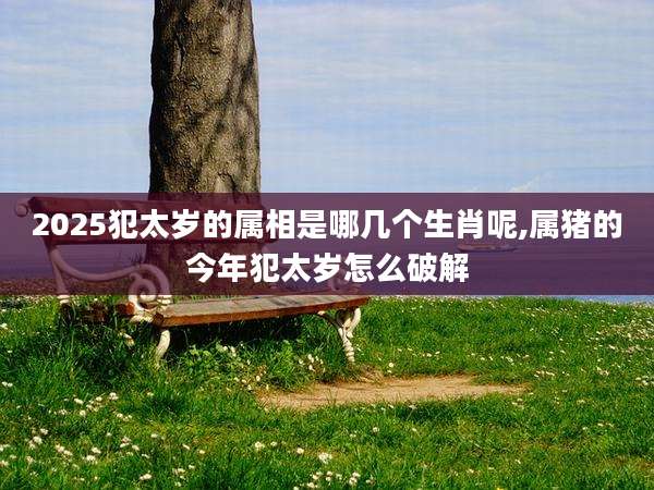 2025犯太岁的属相是哪几个生肖呢,属猪的今年犯太岁怎么破解