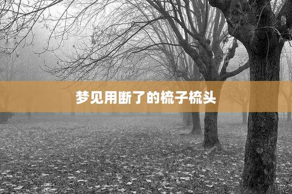 梦见用断了的梳子梳头