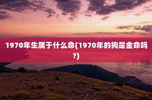 1970年生属于什么命(1970年的狗是金命吗?)