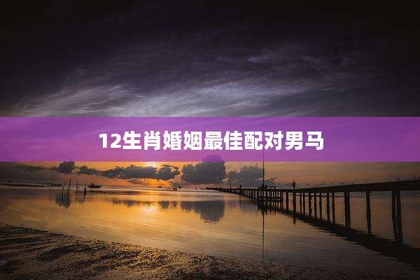 12生肖婚姻最佳配对男马