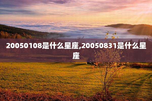 20050108是什么星座,20050831是什么星座
