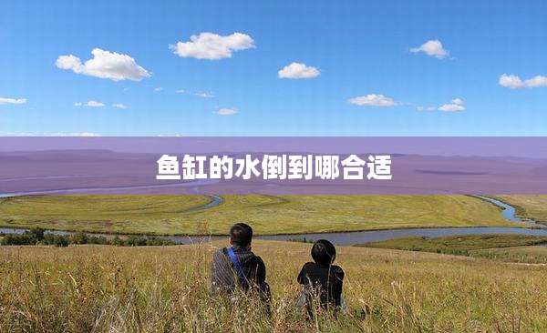 鱼缸的水倒到哪合适