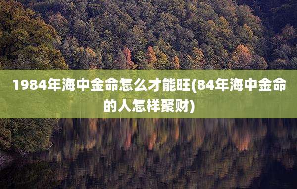 1984年海中金命怎么才能旺(84年海中金命的人怎样聚财)