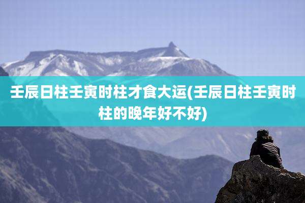 壬辰日柱壬寅时柱才食大运(壬辰日柱壬寅时柱的晚年好不好)