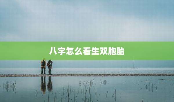 八字怎么看生双胞胎