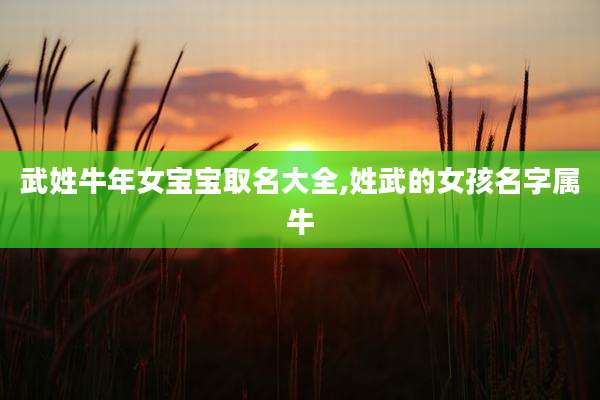 武姓牛年女宝宝取名大全,姓武的女孩名字属牛