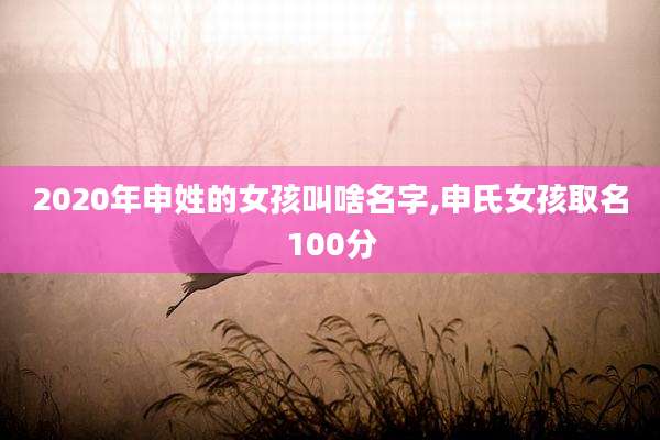 2020年申姓的女孩叫啥名字,申氏女孩取名100分