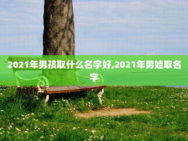 2021年男孩取什么名字好,2021年男娃取名字