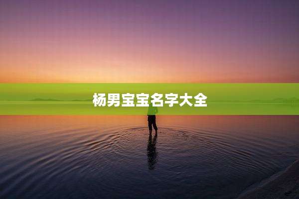 杨男宝宝名字大全