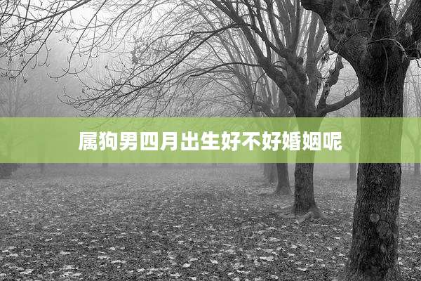 属狗男四月出生好不好婚姻呢