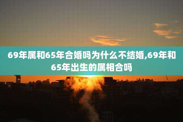 69年属和65年合婚吗为什么不结婚,69年和65年出生的属相合吗