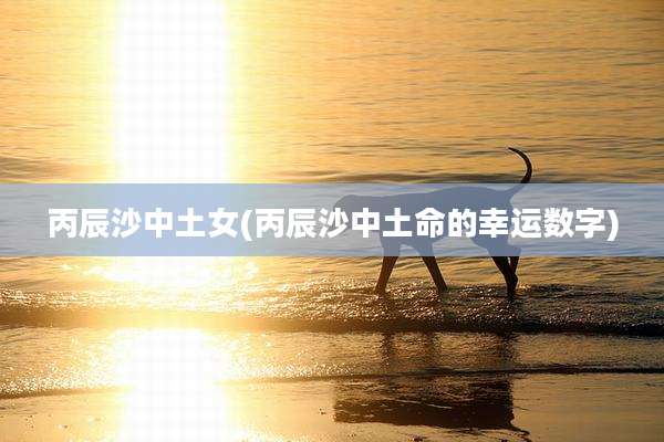 丙辰沙中土女(丙辰沙中土命的幸运数字)