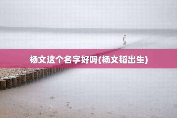 杨文这个名字好吗(杨文韬出生)
